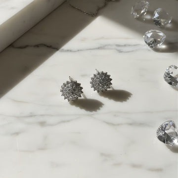 Elegant Sterling Silver Burst Stud Earrings – Cubic Zirconia Shine