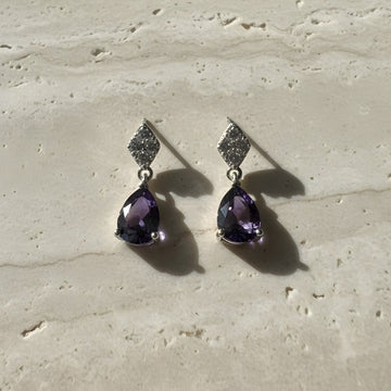 Rapunzel Disney Earings